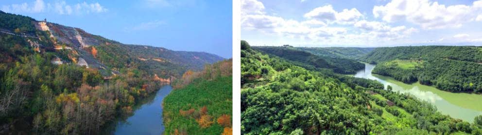 西安壽陽山墓園在管理和服務方面有哪些特點？