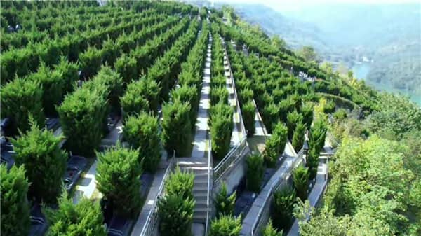 西安壽陽山墓園交通指南：位置偏遠(yuǎn)但可達(dá)性良好，多種方式便捷抵達(dá)