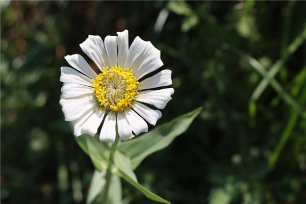 西安壽陽山墓園收費(fèi)標(biāo)準(zhǔn)