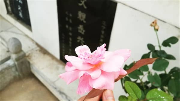 西安壽陽(yáng)山公墓生態(tài)葬：生命與自然和諧共生的新選擇