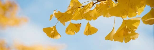 西安壽陽(yáng)山墓園和鳳棲山人文紀(jì)念園的價(jià)位