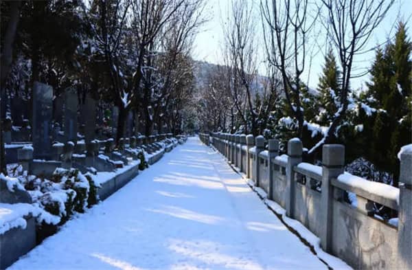 壽陽山墓園價格，讓您省錢又省心！