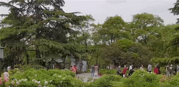 在西安壽陽山墓園選擇花壇葬位，家屬通常抱有怎樣的期望和愿景？