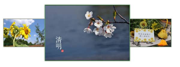 西安長安區(qū)壽陽山墓園墓型全解析：臥碑立碑花壇葬詳細(xì)價格與選擇指南