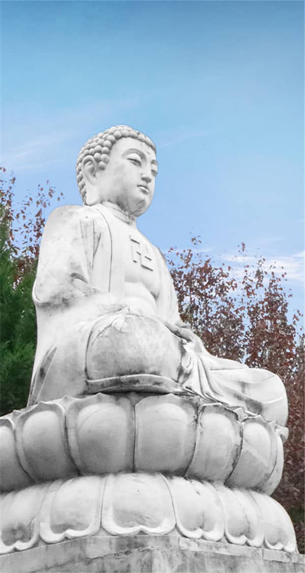 西安壽陽山公墓公交路線詳細(xì)指南,西安壽陽山公墓乘車方式