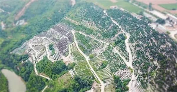 西安壽陽(yáng)山骨灰墓園能退嗎，讓先人安息