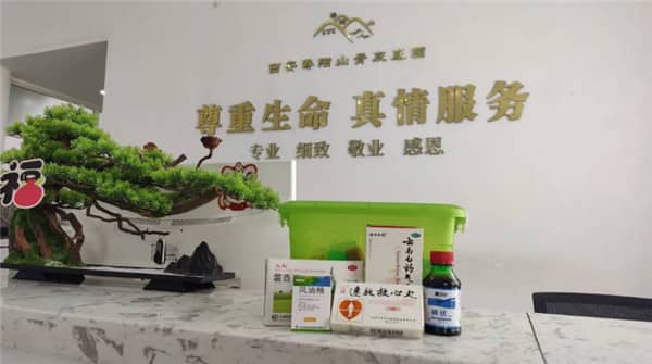 西安壽陽山墓園工作怎么樣，重修祖宅譜寫家族傳奇