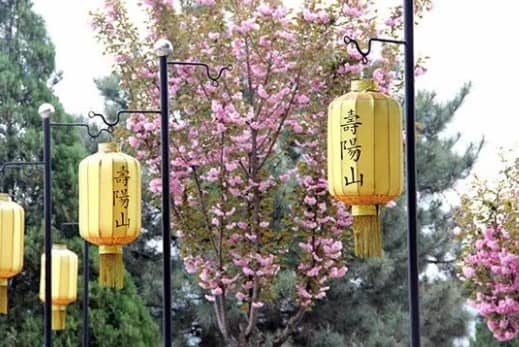 西安樹葬核心優(yōu)勢分析與價值體現(xiàn),西安生態(tài)殯葬意義解讀