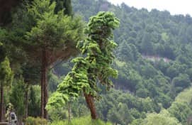 在中秋節(jié)這樣的團(tuán)圓節(jié)日里，西安壽陽山墓園為家屬提供了哪些方式來緬懷先人、寄托哀思？