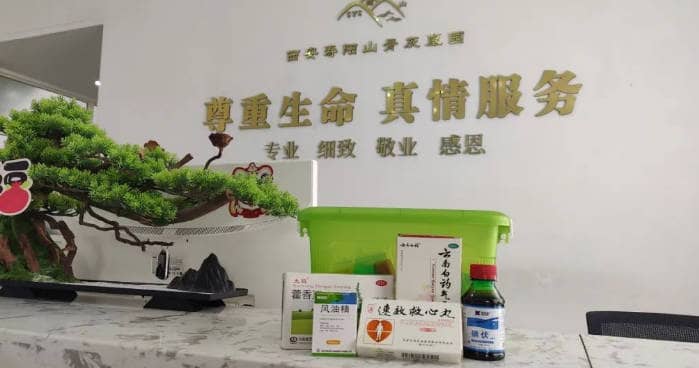 西安周邊墓園對比分析 | 霸陵、壽陽山及其他優(yōu)質(zhì)墓園詳解