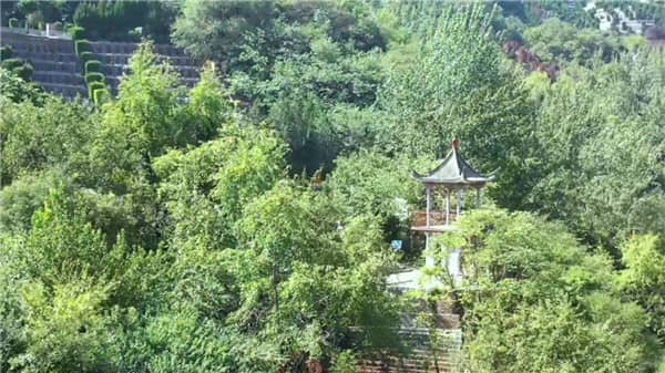 西安壽陽山墓地使用多少年，陵園分布