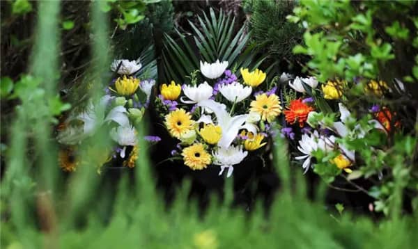 西安壽陽(yáng)山公墓班車預(yù)約流程及方式,西安壽陽(yáng)山公墓交通預(yù)約指南