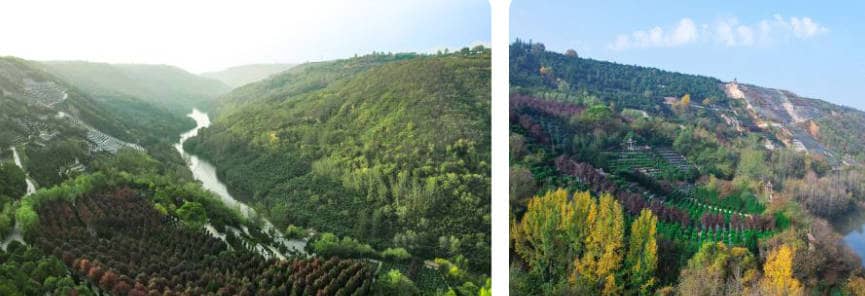 西安壽陽山墓園解析-環(huán)境、交通與服務(wù)指南