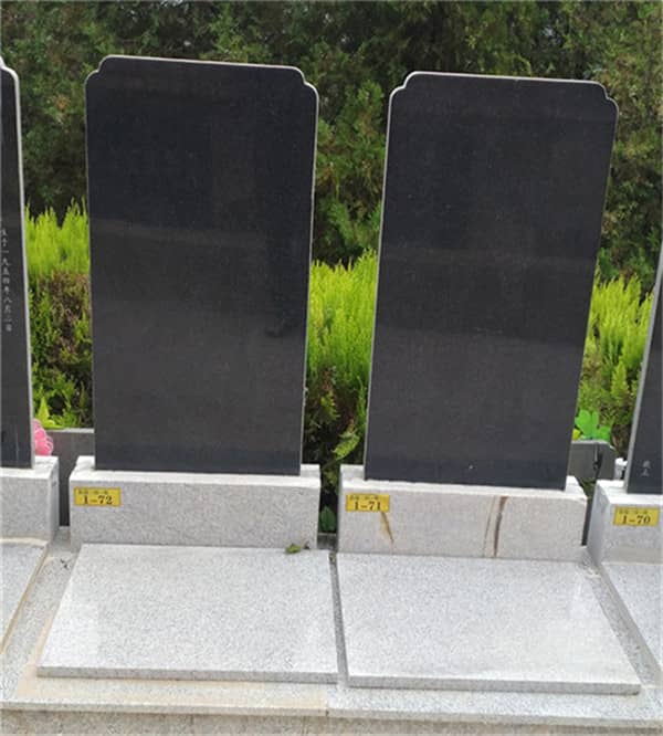 壽陽山公墓在西安公墓市場中處于怎樣的價格定位，其價格優(yōu)勢體現(xiàn)在哪些方面？