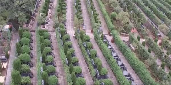 西安壽陽山墓園福山園解析_高性價比與節(jié)地生態(tài)葬的優(yōu)選
