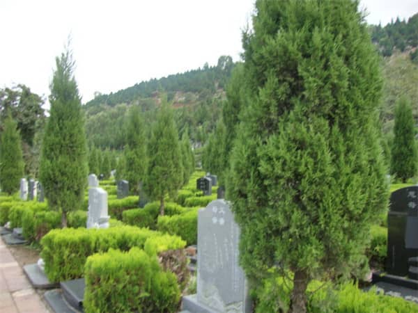 西安長安區(qū)壽陽山墓園售價解析：多因素決定，選擇需謹慎