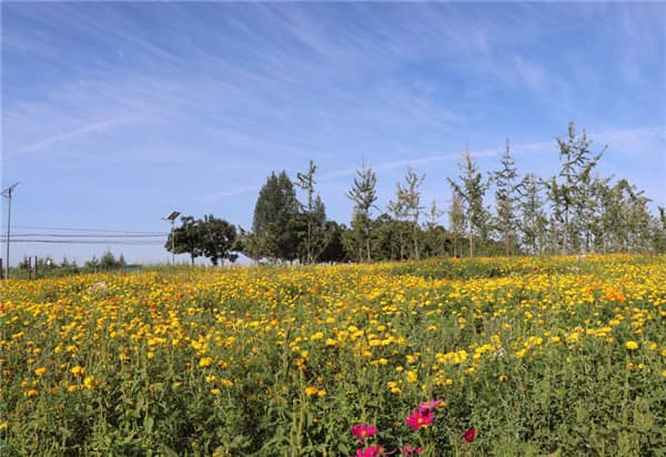 西安壽陽山高橋公墓對比
