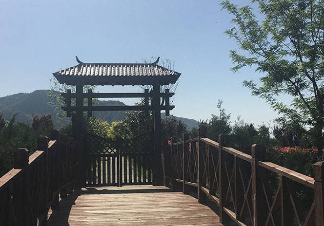 在長安慈恩園，如果我想要預(yù)訂墓地、安排骨灰安放或進(jìn)行安葬，應(yīng)該如何操作？