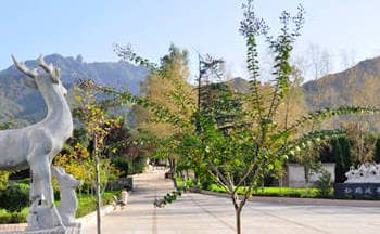 在長(zhǎng)安慈恩園，墓體的設(shè)計(jì)和碑文的撰刻需要注意哪些事項(xiàng)？