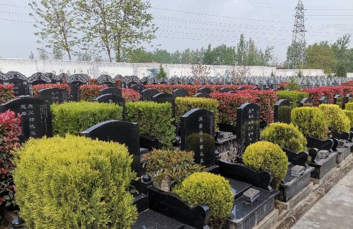 西安市長(zhǎng)安區(qū)棗園山生態(tài)人文紀(jì)念園