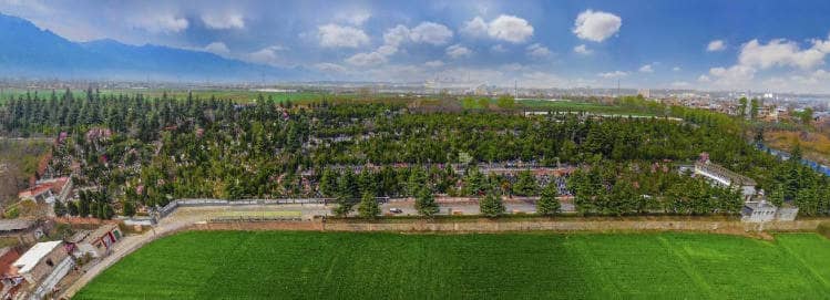 西安棗園山生態(tài)人文紀(jì)念園墓園地址電話