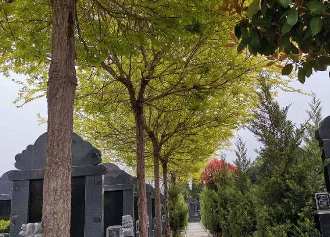 西安棗園山生態(tài)人文紀(jì)念園預(yù)約電話