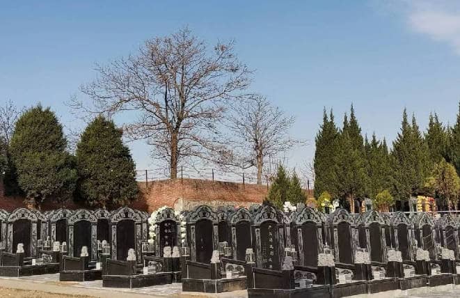 棗園山生態(tài)人文紀(jì)念園：少陵塬畔的殯葬服務(wù)標(biāo)桿