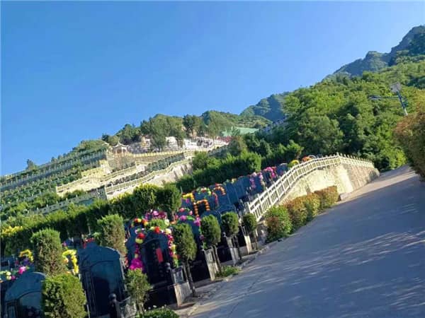 九龍山公墓的服務宗旨是什么，有哪些具體的服務內(nèi)容？