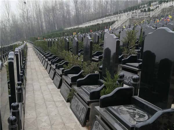 西安九龍山墓園在環(huán)境和服務(wù)方面還有哪些可以改進的地方？