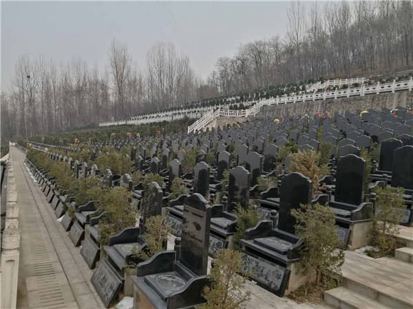 西安九龍山公墓的地理位置有什么特別之處？