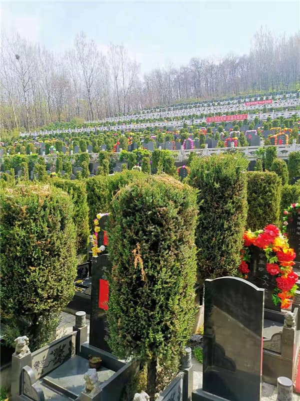 西安鄠邑區(qū)九龍山公墓，珍惜家人天倫之樂