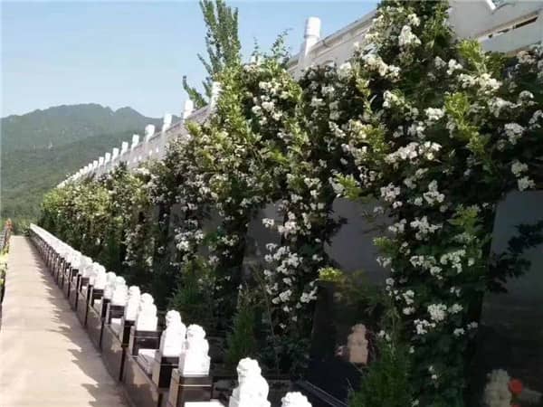 花壇葬西安九龍山公墓是如何實(shí)現(xiàn)的？