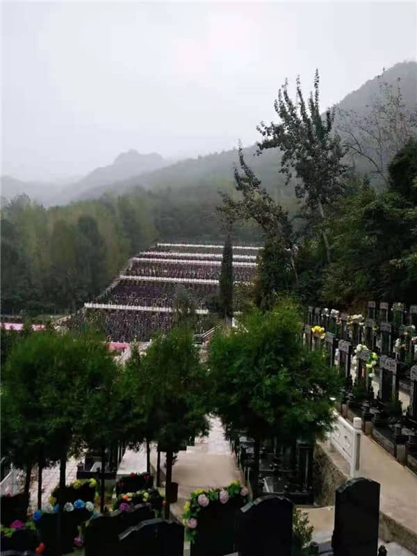 暢達(dá)秦嶺福地——九龍山公墓地理位置與便捷路線指南