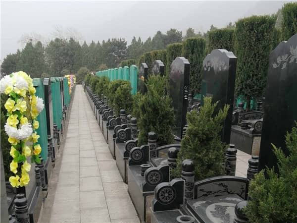 九龍山公墓是否提供個性化服務(wù)？