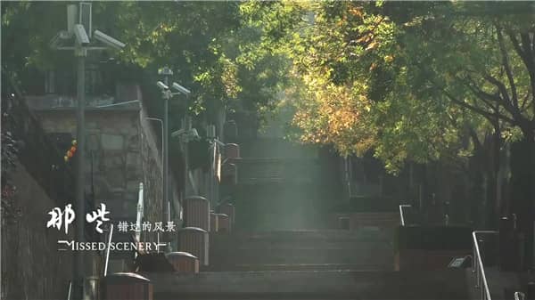 西安霸陵墓園新區(qū)綠色”清明 讓每朵花每棵草皆有情