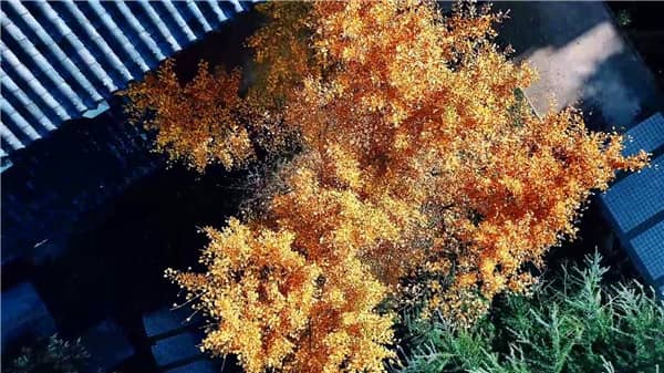 西安墓園有哪些霸陵墓園，優(yōu)惠多多！