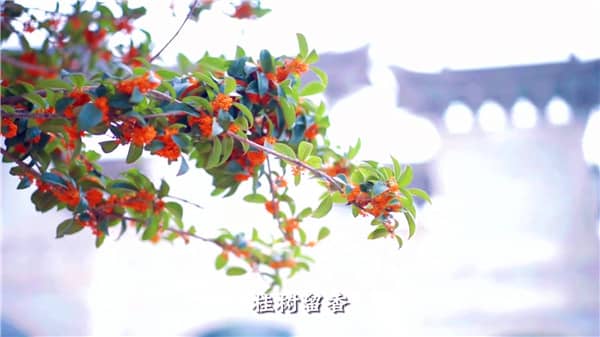 西安市霸陵墓墓園，人性化服務(wù)