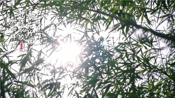 西安霸陵墓園位于西安市的哪個(gè)區(qū)域，其周邊環(huán)境如何？