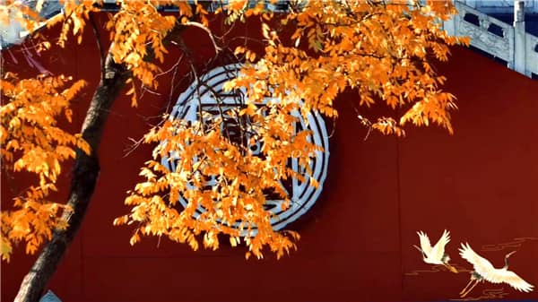 西安霸陵墓園新區(qū)價格體系解析-墓位類型與選擇指南