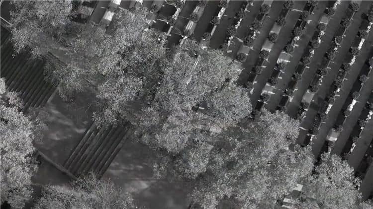 霸陵陵園在自然與藝術(shù)結(jié)合方面有哪些獨(dú)特之處？