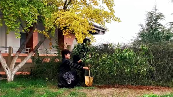 西安霸陵墓園（入園須知）