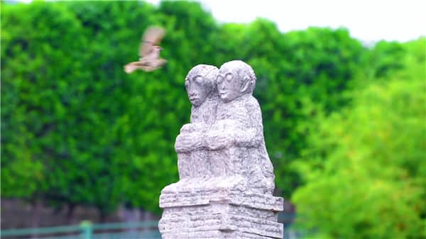 76%綠化覆蓋，西安霸陵墓園新區(qū)的生態(tài)安葬之選