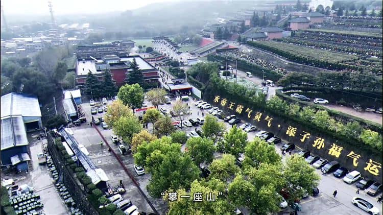 西安霸陵墓園位于哪里，其地理位置有何特殊之處？