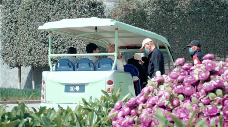 西安霸陵墓園圖片大全，情感接續(xù)