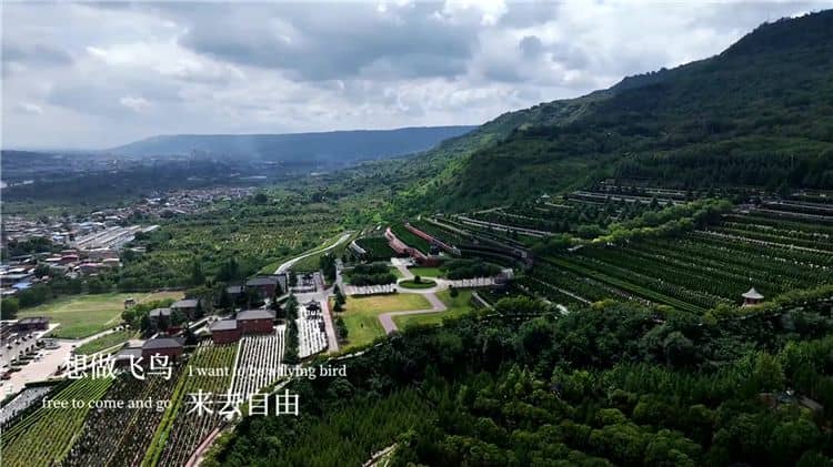 西安霸陵墓園新區(qū)是否提供墓碑清潔和維護(hù)服務(wù)？