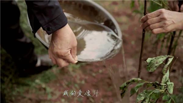 西安霸陵墓園新區(qū)：融三重價值的現(xiàn)代化陵園典范