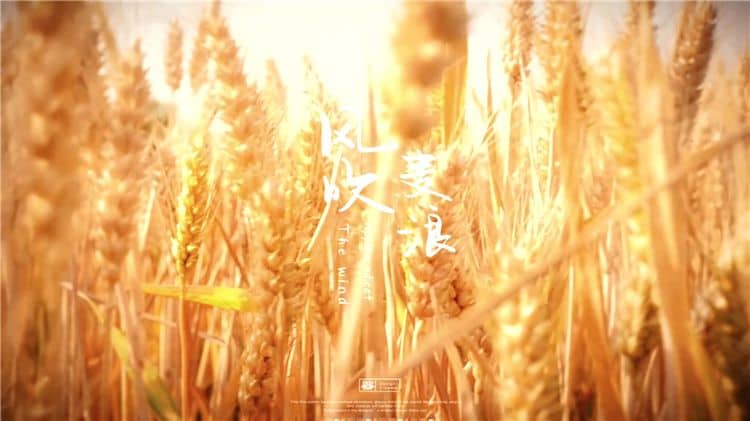 西安霸陵墓園新區(qū)在施工建墓和墓體驗(yàn)收環(huán)節(jié)有哪些保障措施？