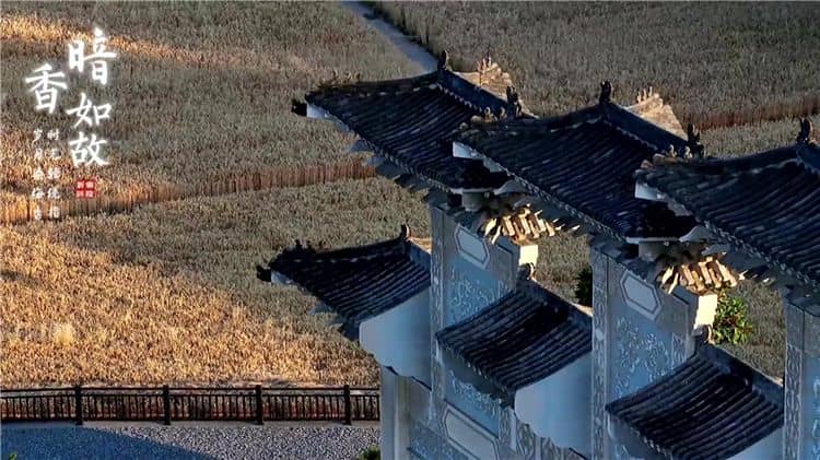 西安霸陵墓園新區(qū)：軍魂園與功勛園中的尊崇記憶