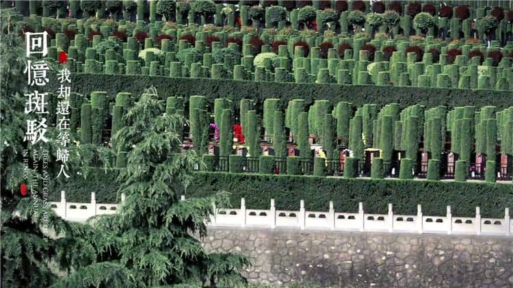 西安霸陵和鳳棲山墓園北區(qū)優(yōu)缺點對比分析