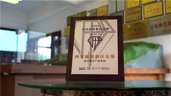 西安霸陵墓園有哪些地方